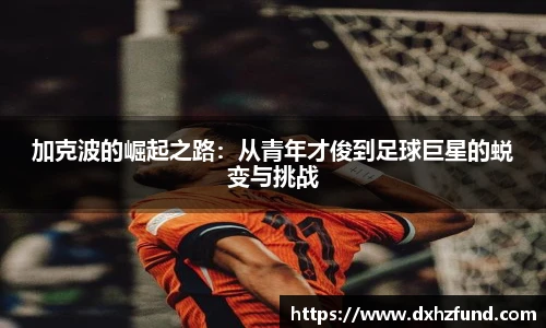 jbo竞博电竞官方网站